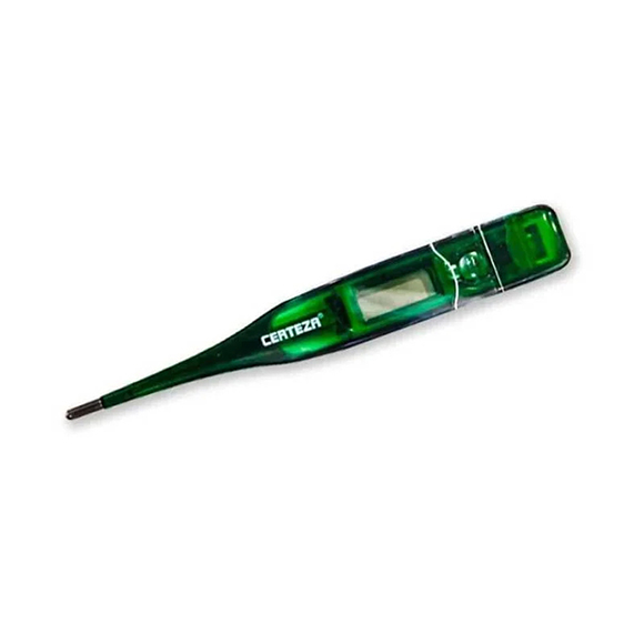 Digital Standard Thermometer