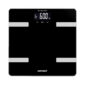 Body Composition Scale