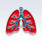 lung brooch